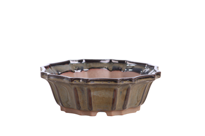 Willow Bonsai Ceramics Flower Design Bonsai Pot 6.5 Inch – Elegant Ceramic Bonsai & Succulent Planter, High‑Fired Frost‑Proof Stoneware with Drainage & Wiring Holes, Handmade in USA (Dark Honey)