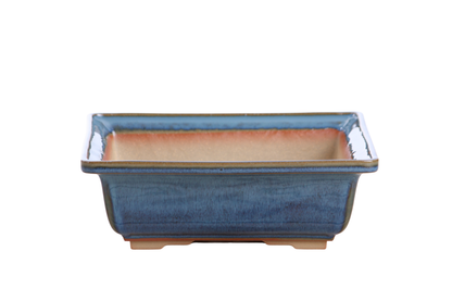 Willow Bonsai Ceramics Square Bonsai Pot 8 Inch – Low‑Profile Square Ceramic Bonsai & Succulent Planter with Accentuated Rim, High‑Fired Frost‑Proof Stoneware, Handmade in USA (Peacock 2025)