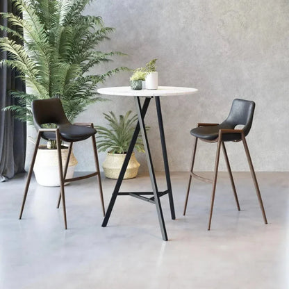 Desi Leather Counter Chair (Set of 2)