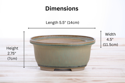 Willow Bonsai Ceramics Fat Bonsai Pot 5.5 Inch – Bold Oval Ceramic Bonsai & Succulent Planter with Accentuated Rim, High‑Fired Frost‑Proof Stoneware, Handmade in USA (Speckled Moss)