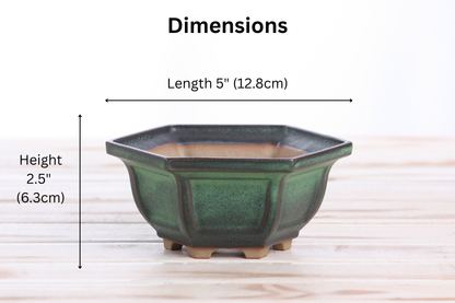 Willow Bonsai Ceramics Hexagonal Windowed Bonsai Pot 5 Inch – Semi‑Cascade Planter, High‑Fired Frost‑Proof Stoneware with Drainage & Wiring Holes, Handmade in USA (Avocado)