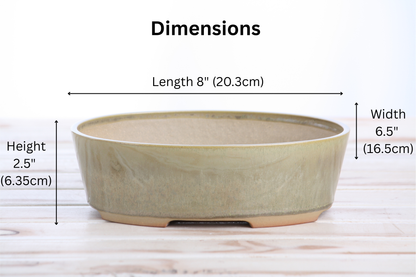 Willow Bonsai Ceramics Oval A Bonsai Pot 8 Inch – Straight‑Sided Oval Ceramic Bonsai & Succulent Planter, High‑Fired Frost‑Proof Stoneware with Drainage & Wiring Holes, Handmade in USA (Copenhagen)