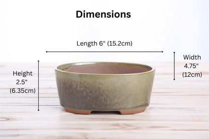 Willow Bonsai Ceramics Oval A Bonsai Pot 6 Inch – Straight‑Sided Oval Ceramic Bonsai & Succulent Planter, High‑Fired Frost‑Proof Stoneware with Drainage & Wiring Holes, Handmade in USA (Copenhagen)