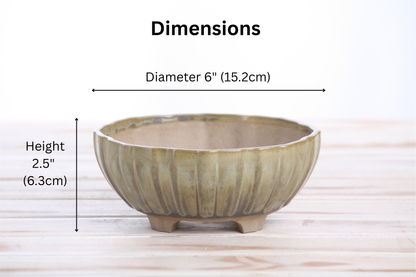 Willow Bonsai Ceramics Lily Bonsai Pot 6 Inch – Sculpted Rounded Ceramic Bonsai & Succulent Planter with Wavy Profile, High‑Fired Frost‑Proof Stoneware, Handmade in USA (Copenhagen)