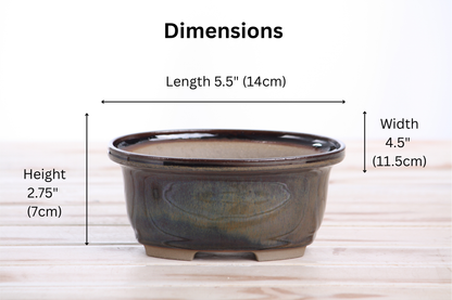 Willow Bonsai Ceramics Fat Bonsai Pot 5.5 Inch – Bold Oval Ceramic Bonsai & Succulent Planter with Accentuated Rim, High‑Fired Frost‑Proof Stoneware, Handmade in USA (Dark Honey)