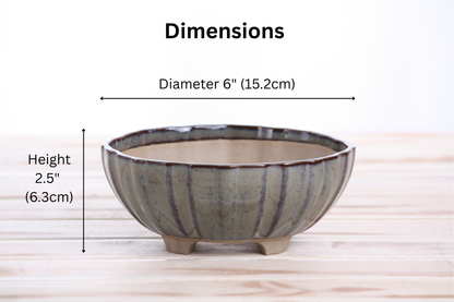 Willow Bonsai Ceramics Lily Bonsai Pot 6 Inch – Sculpted Rounded Ceramic Bonsai & Succulent Planter with Wavy Profile, High‑Fired Frost‑Proof Stoneware, Handmade in USA (Starry Night)