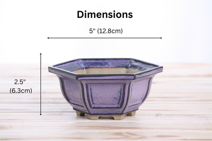 Willow Bonsai Ceramics Hexagonal Windowed Bonsai Pot 5 Inch – Semi‑Cascade Planter, High‑Fired Frost‑Proof Stoneware with Drainage & Wiring Holes, Handmade in USA (Purple)