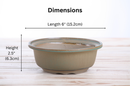 Willow Bonsai Ceramics Round Bonsai Pot 6 Inch – Round Ceramic Bonsai & Succulent Planter with Accentuated Rim and Sculpted Foot Ring, High‑Fired Frost‑Proof Stoneware, Handmade in USA (Speckled Moss)