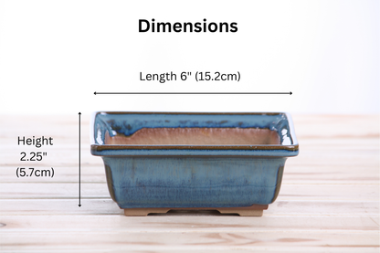 Willow Bonsai Ceramics Square Bonsai Pot 6 Inch – Low‑Profile Square Ceramic Bonsai & Succulent Planter with Accentuated Rim, High‑Fired Frost‑Proof Stoneware, Handmade in USA (Peacock 2025)