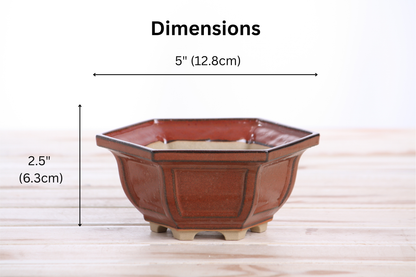 Willow Bonsai Ceramics Hexagonal Windowed Bonsai Pot 5 Inch – Semi‑Cascade Planter, High‑Fired Frost‑Proof Stoneware with Drainage & Wiring Holes, Handmade in USA (Sunset)