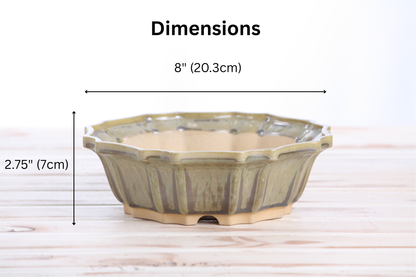 Willow Bonsai Ceramics Flower Design Bonsai Pot 8 Inch – Elegant Ceramic Bonsai & Succulent Planter, High‑Fired Frost‑Proof Stoneware with Drainage & Wiring Holes, Handmade in USA (Copenhagen)