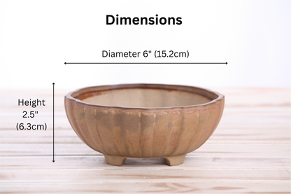 Willow Bonsai Ceramics Lily Bonsai Pot 6 Inch – Sculpted Rounded Ceramic Bonsai & Succulent Planter with Wavy Profile, High‑Fired Frost‑Proof Stoneware, Handmade in USA (Deep Stone)