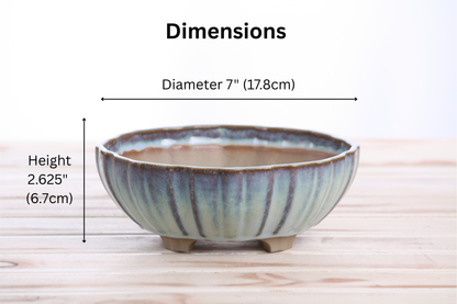Willow Bonsai Ceramics Lily Bonsai Pot 7 Inch – Sculpted Rounded Ceramic Bonsai & Succulent Planter with Wavy Profile, High‑Fired Frost‑Proof Stoneware, Handmade in USA (Glacier)
