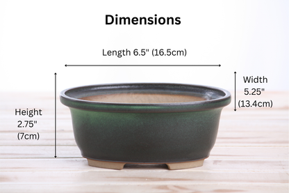 Willow Bonsai Ceramics Fat Bonsai Pot 6.5 Inch – Bold Oval Ceramic Bonsai & Succulent Planter with Accentuated Rim, High‑Fired Frost‑Proof Stoneware, Handmade in USA (Avocado)