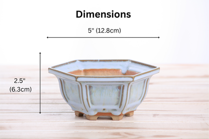 Willow Bonsai Ceramics Hexagonal Windowed Bonsai Pot 5 Inch – Semi‑Cascade Planter, High‑Fired Frost‑Proof Stoneware with Drainage & Wiring Holes, Handmade in USA (Glacier)