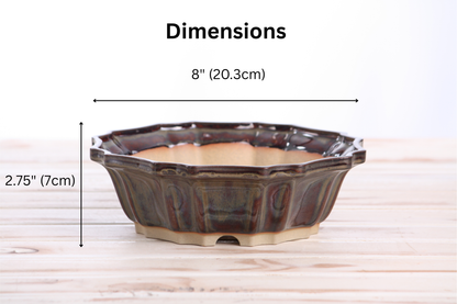 Willow Bonsai Ceramics Flower Design Bonsai Pot 8 Inch – Elegant Ceramic Bonsai & Succulent Planter, High‑Fired Frost‑Proof Stoneware with Drainage & Wiring Holes, Handmade in USA (Dark Honey)