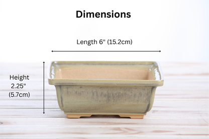 Willow Bonsai Ceramics Square Bonsai Pot 6 Inch – Low‑Profile Square Ceramic Bonsai & Succulent Planter with Accentuated Rim, High‑Fired Frost‑Proof Stoneware, Handmade in USA (Copenhagen)