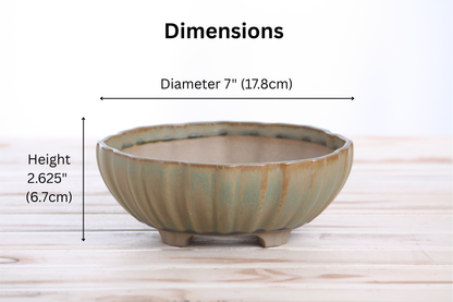 Willow Bonsai Ceramics Lily Bonsai Pot 7 Inch – Sculpted Rounded Ceramic Bonsai & Succulent Planter with Wavy Profile, High‑Fired Frost‑Proof Stoneware, Handmade in USA (Speckled Moss)