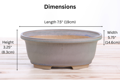Willow Bonsai Ceramics Fat Bonsai Pot 7.5 Inch – Bold Oval Ceramic Bonsai & Succulent Planter with Accentuated Rim, High‑Fired Frost‑Proof Stoneware, Handmade in USA (Ocean)