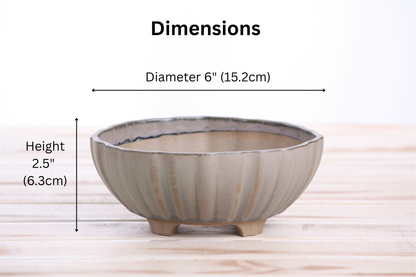 Willow Bonsai Ceramics Lily Bonsai Pot 6 Inch – Sculpted Rounded Ceramic Bonsai & Succulent Planter with Wavy Profile, High‑Fired Frost‑Proof Stoneware, Handmade in USA (Ocean)