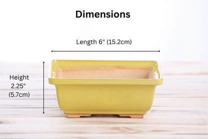Willow Bonsai Ceramics Square Bonsai Pot 6 Inch – Low‑Profile Square Ceramic Bonsai & Succulent Planter with Accentuated Rim, High‑Fired Frost‑Proof Stoneware, Handmade in USA (Yellow)