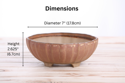 Willow Bonsai Ceramics Lily Bonsai Pot 7 Inch – Sculpted Rounded Ceramic Bonsai & Succulent Planter with Wavy Profile, High‑Fired Frost‑Proof Stoneware, Handmade in USA (Deep Stone)