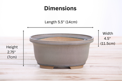 Willow Bonsai Ceramics Fat Bonsai Pot 5.5 Inch – Bold Oval Ceramic Bonsai & Succulent Planter with Accentuated Rim, High‑Fired Frost‑Proof Stoneware, Handmade in USA (Ocean)