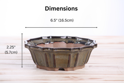 Willow Bonsai Ceramics Flower Design Bonsai Pot 6.5 Inch – Elegant Ceramic Bonsai & Succulent Planter, High‑Fired Frost‑Proof Stoneware with Drainage & Wiring Holes, Handmade in USA (Dark Honey)