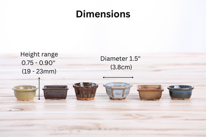Willow Bonsai Ceramics 1.5 Inch Shito Bonsai Pot Set of 6 – Mini Handmade Ceramic Bonsai & Succulent Pots, High‑Fired Stoneware with Drainage, Made in USA (Set A)
