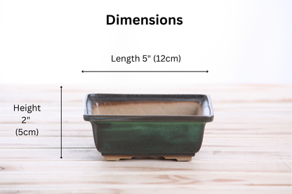 Willow Bonsai Ceramics Square Bonsai Pot 5 Inch – Low‑Profile Square Ceramic Bonsai & Succulent Planter with Accentuated Rim, High‑Fired Frost‑Proof Stoneware, Handmade in USA (Avocado)