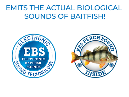 EBS Jigging Spoon