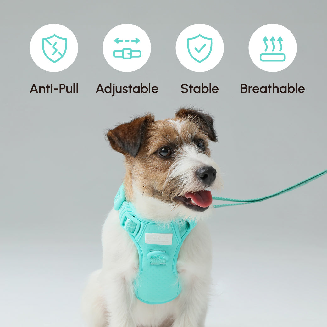 NO PULL ACTIVE  PET HARNESS - MINT GREEN