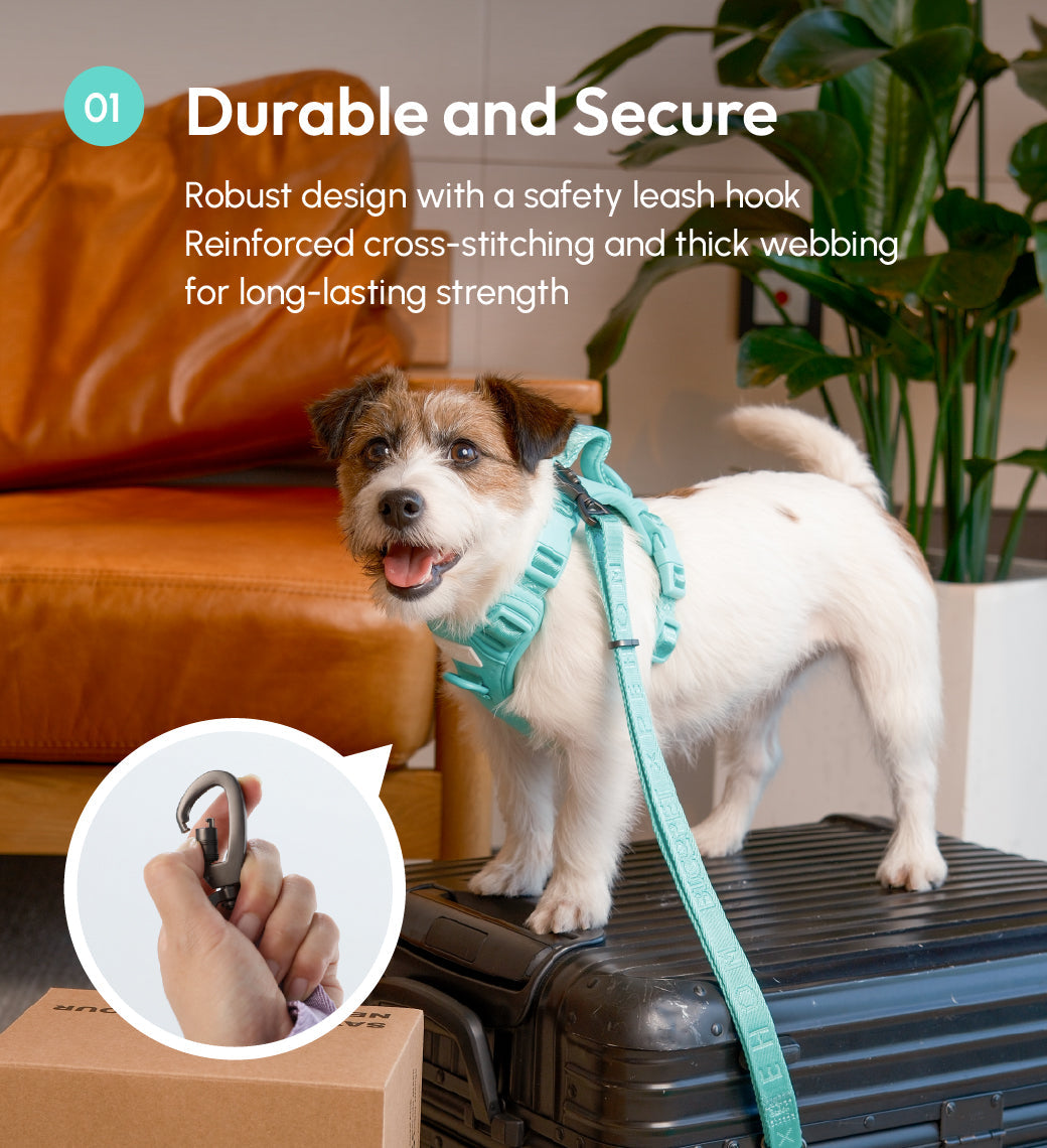 PADDED  ACTIVE  PET LEASH  - MINT GREEN
