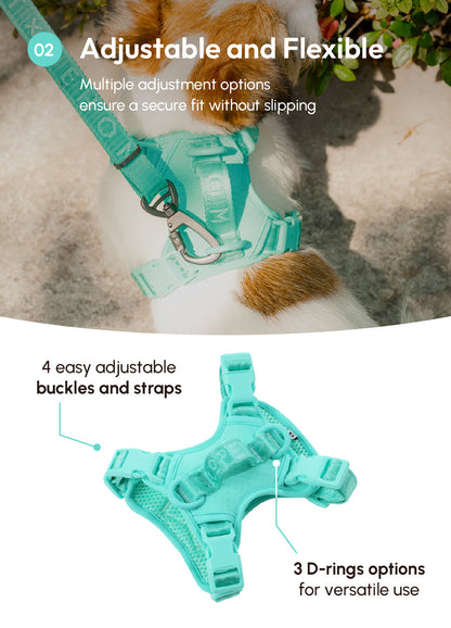 NO PULL ACTIVE  PET HARNESS - MINT GREEN