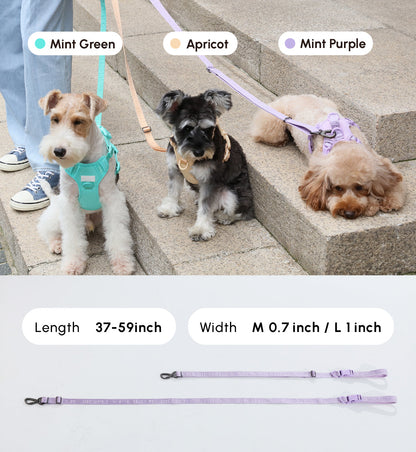 PADDED  ACTIVE  PET LEASH  - MINT GREEN