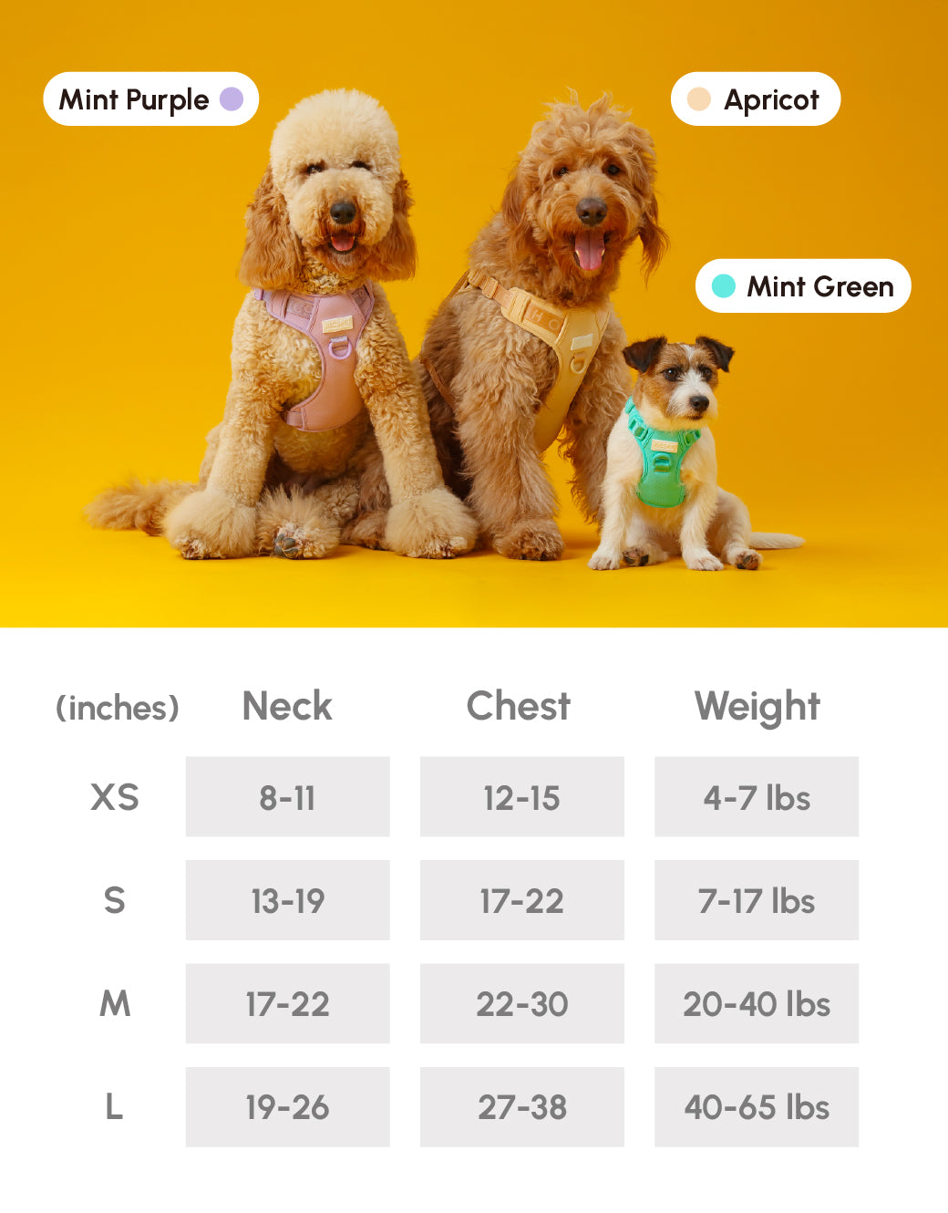 NO PULL ACTIVE  PET HARNESS - APRICOT