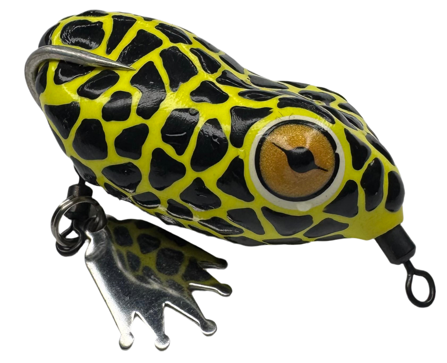 Pacman Frog