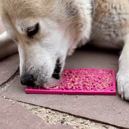 Lick Mats for Cats and Small Dogs