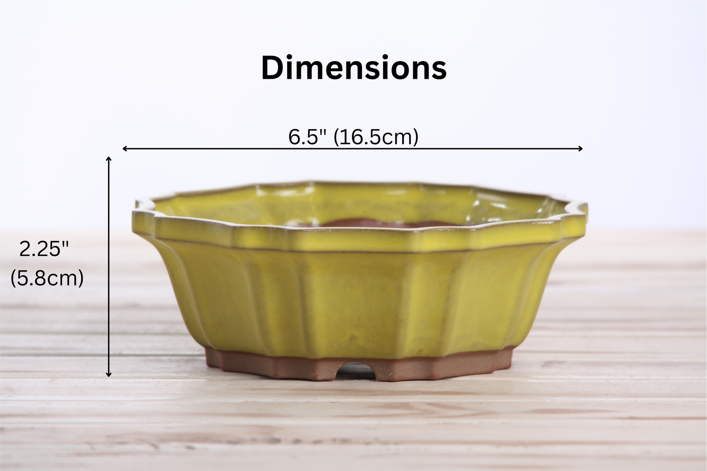 Willow Bonsai Ceramics Flower Design Bonsai Pot 6.5 Inch – Elegant Ceramic Bonsai & Succulent Planter, High‑Fired Frost‑Proof Stoneware with Drainage & Wiring Holes, Handmade in USA (Yellow)