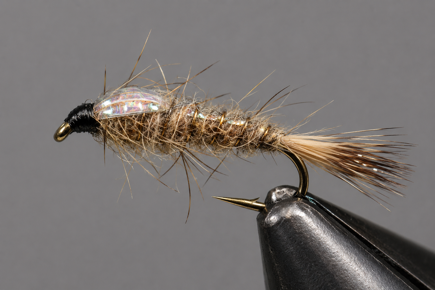 Gold Rib Hare's Ear - Flashback