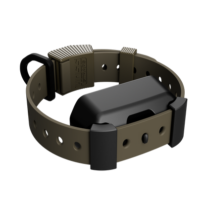 Training Collar Setup
