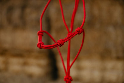 Clinician 4 Knot Halter and 14ft Lead Set