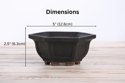 Willow Bonsai Ceramics Hexagonal Windowed Bonsai Pot 5 Inch – Semi‑Cascade Planter, High‑Fired Frost‑Proof Stoneware with Drainage & Wiring Holes, Handmade in USA (Matt Black)