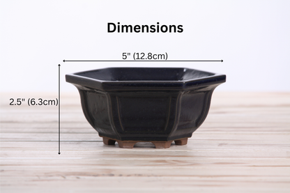 Willow Bonsai Ceramics Hexagonal Windowed Bonsai Pot 5 Inch – Semi‑Cascade Planter, High‑Fired Frost‑Proof Stoneware with Drainage & Wiring Holes, Handmade in USA (Ruri)
