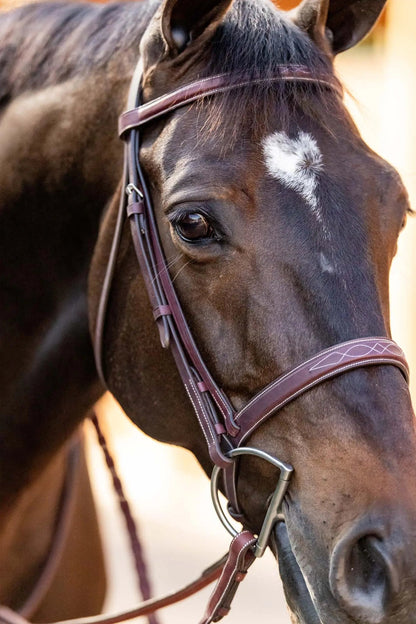 Huntley Equestrian Fancy Stitched Schooling Hunter Bridle with Reins