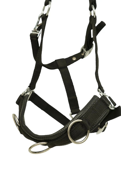 Huntley Nylon Padded Lunging Caveson, Black