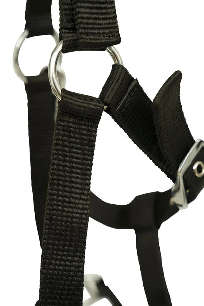 Huntley Nylon Padded Lunging Caveson, Black