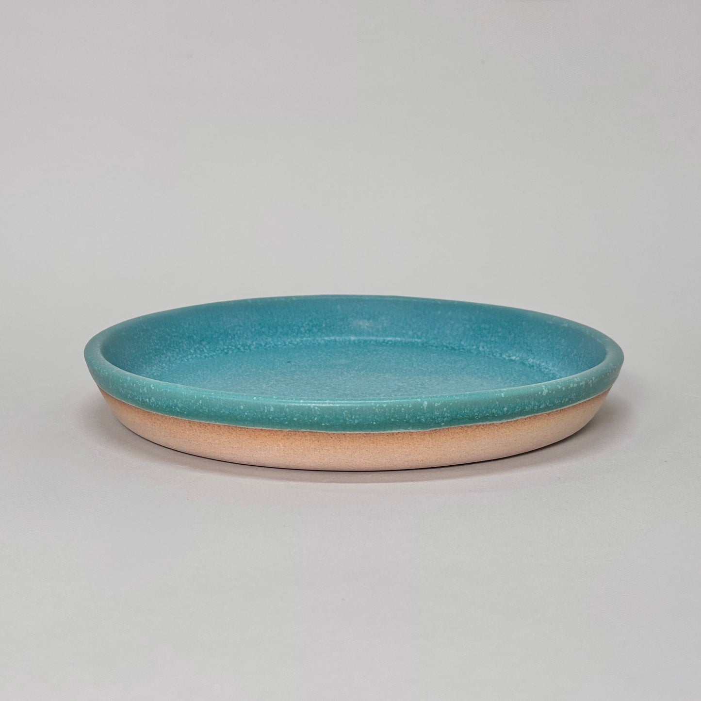Dinner Plate - 9"