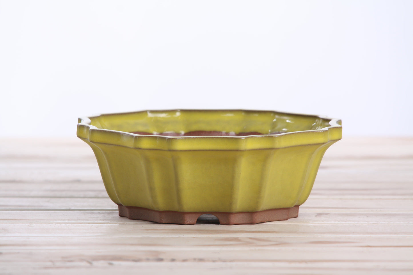 Willow Bonsai Ceramics Flower Design Bonsai Pot 6.5 Inch – Elegant Ceramic Bonsai & Succulent Planter, High‑Fired Frost‑Proof Stoneware with Drainage & Wiring Holes, Handmade in USA (Yellow)