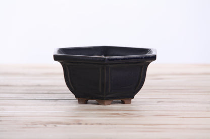 Willow Bonsai Ceramics Hexagonal Windowed Bonsai Pot 5 Inch – Semi‑Cascade Planter, High‑Fired Frost‑Proof Stoneware with Drainage & Wiring Holes, Handmade in USA (Ruri)